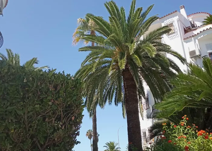 Estudio 2 Personas Con Piscina En * Denia